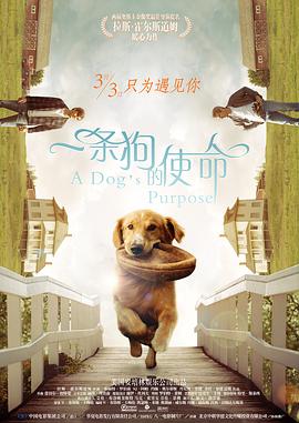 www.久久草